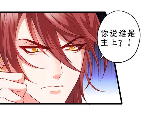 小姐姐强势登场~
