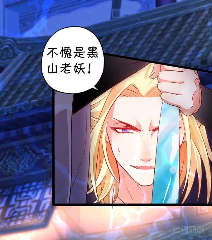 小兔子变大！长佑现身！