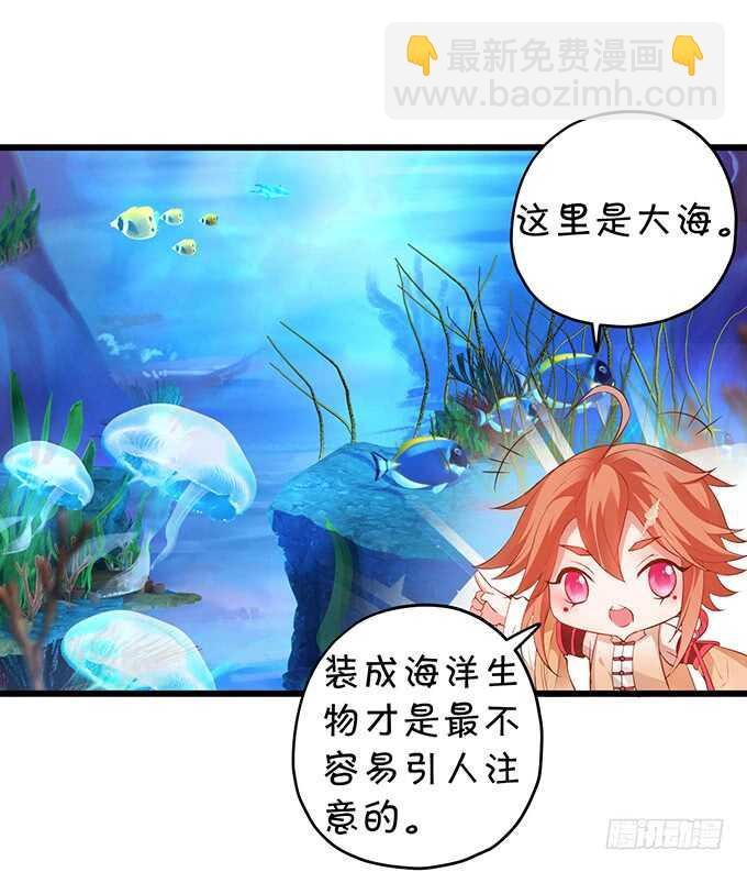 食人花你还没死？！