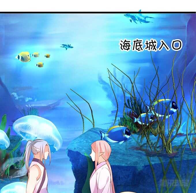 食人花你还没死？！