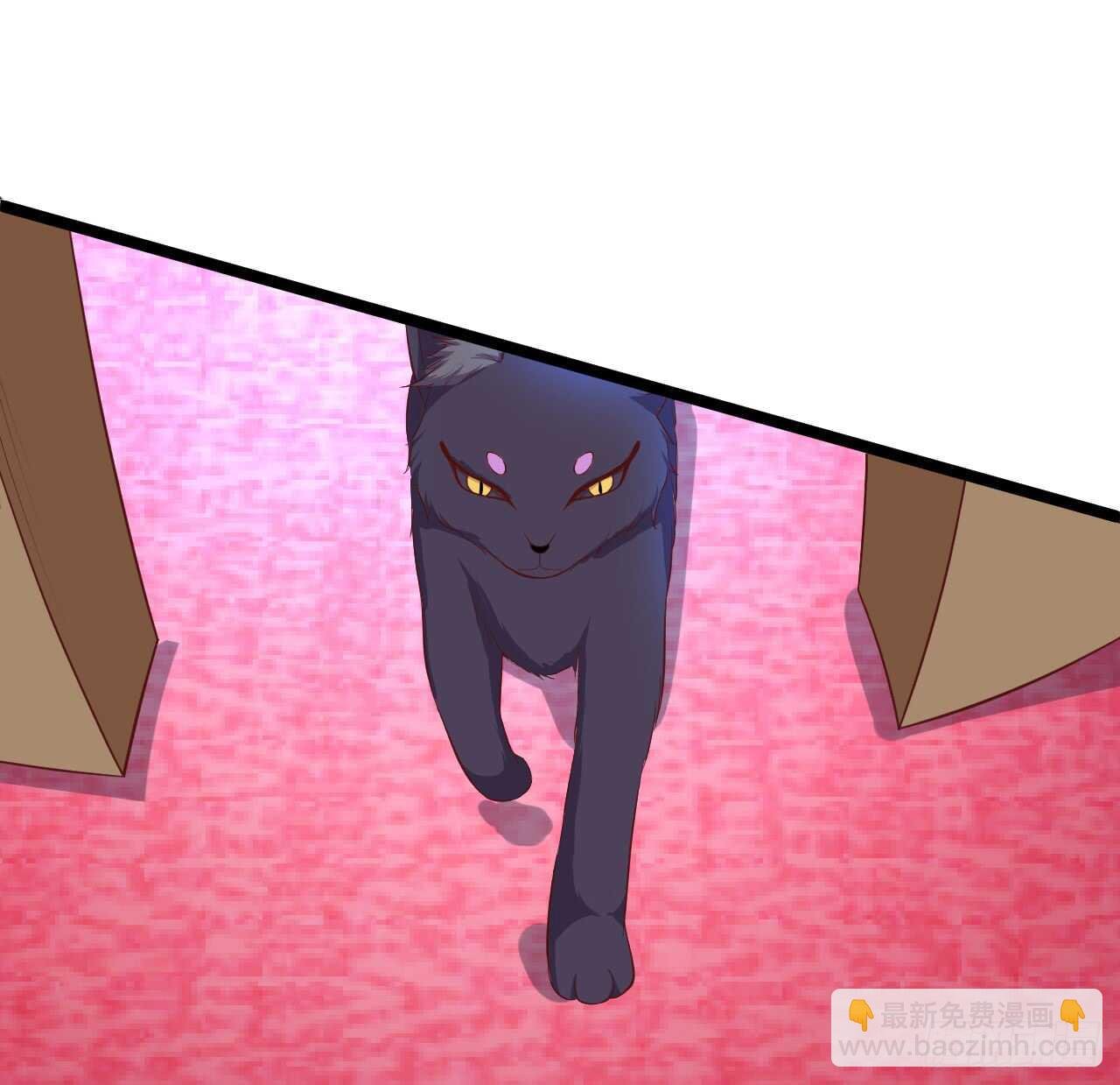 猫奴福利！小猫妖登场！