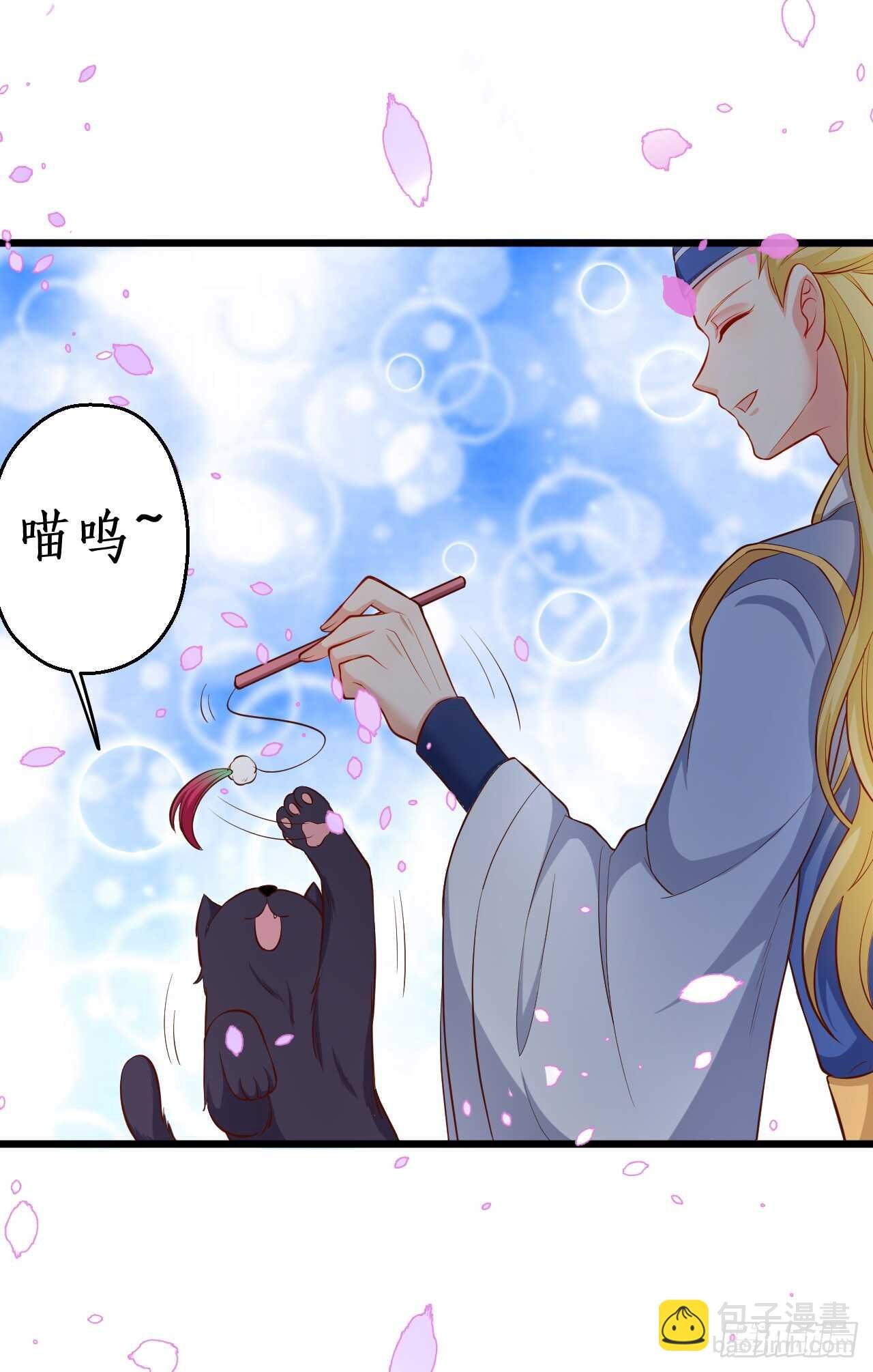 小猫咪！需要我帮忙吗！