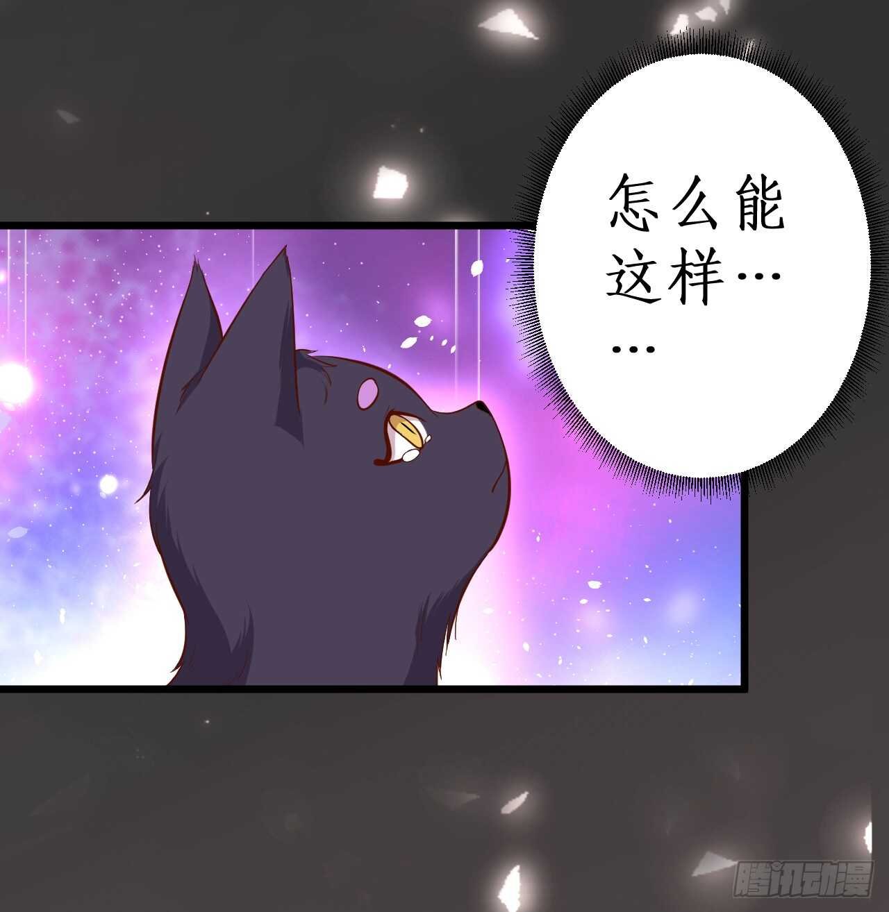 小猫咪！需要我帮忙吗！