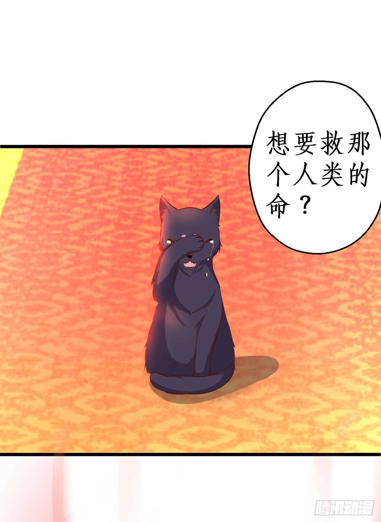 你是我的，谁也不能将他夺走！！