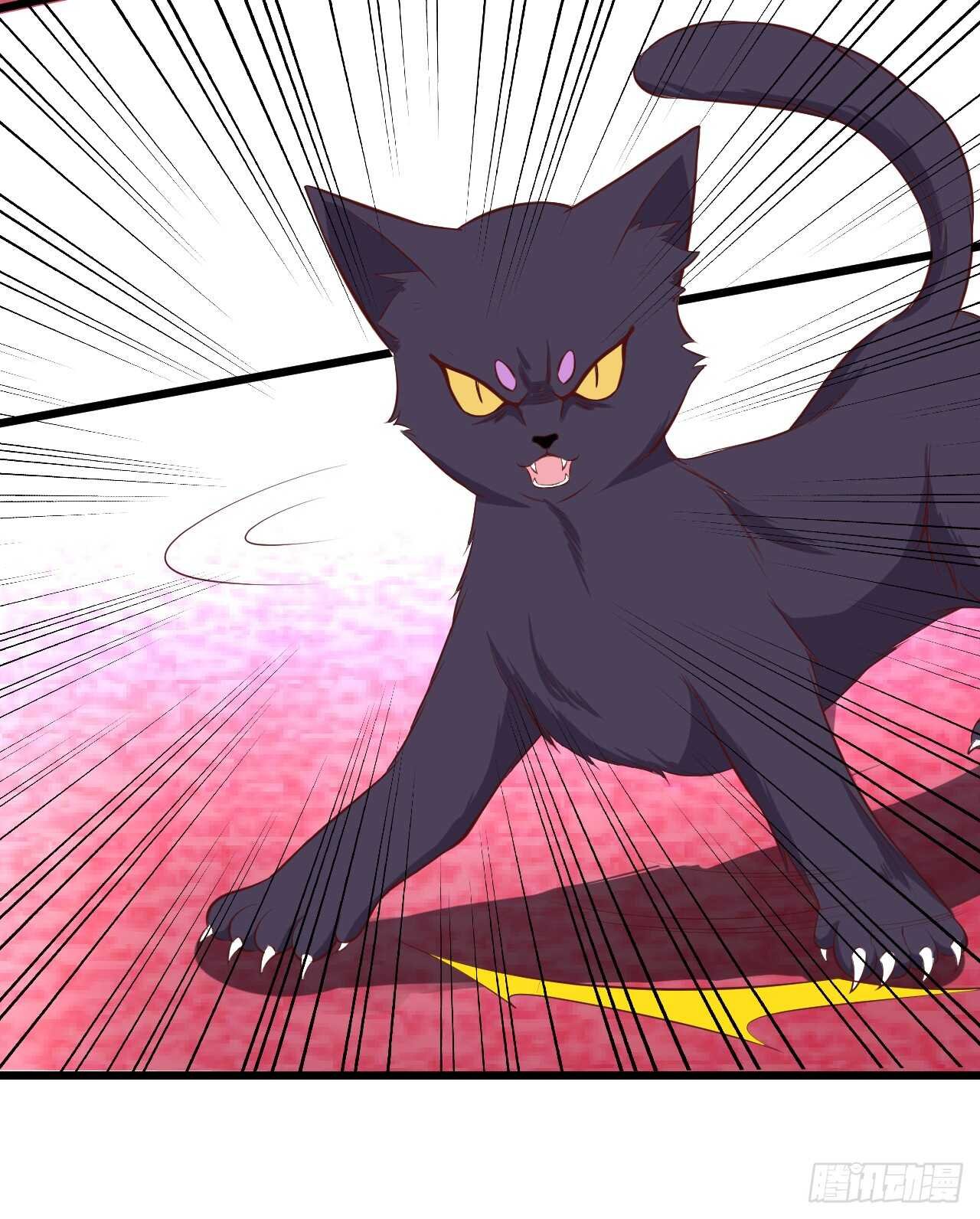 吸取精气！小猫咪变身！