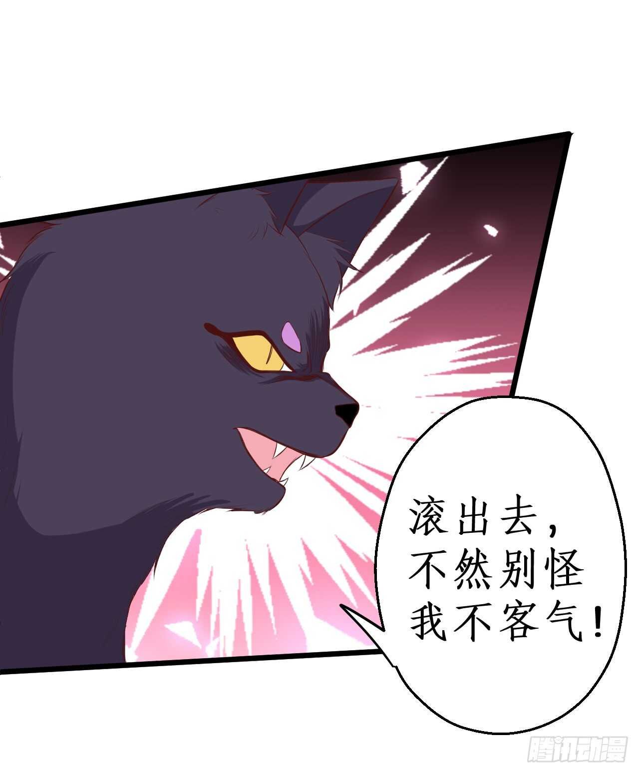 吸取精气！小猫咪变身！