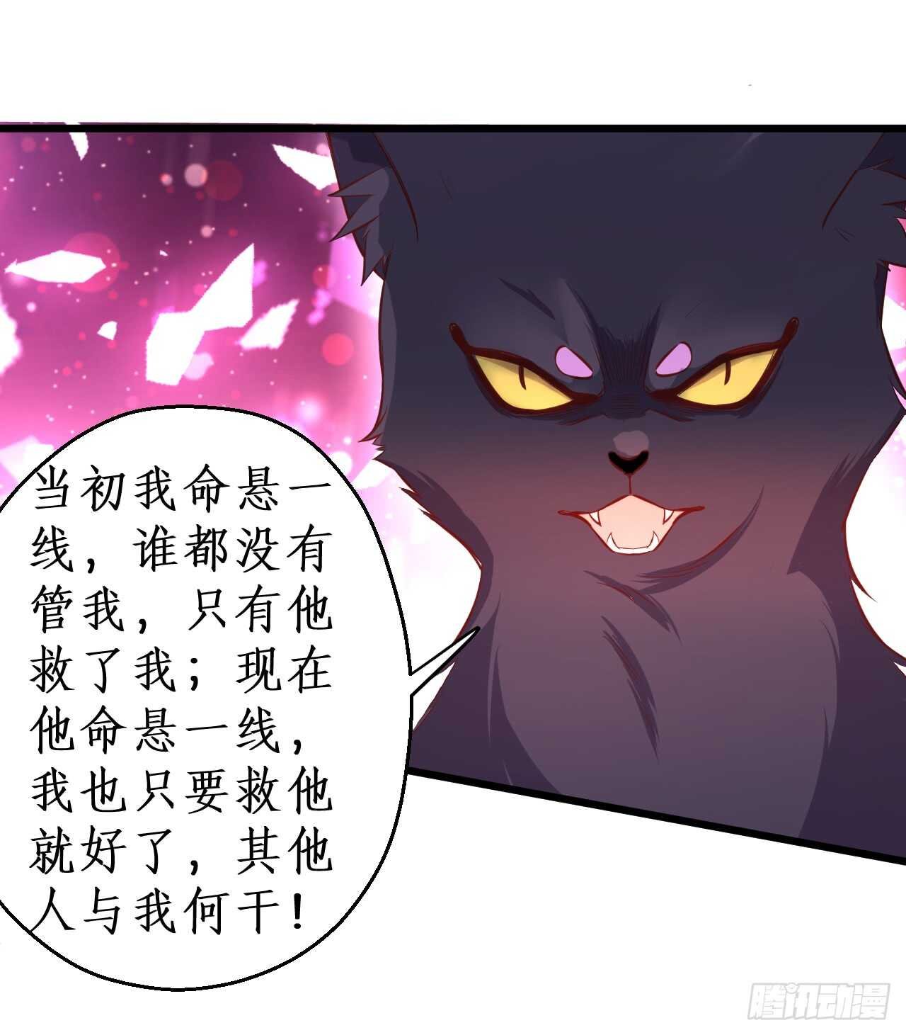 吸取精气！小猫咪变身！