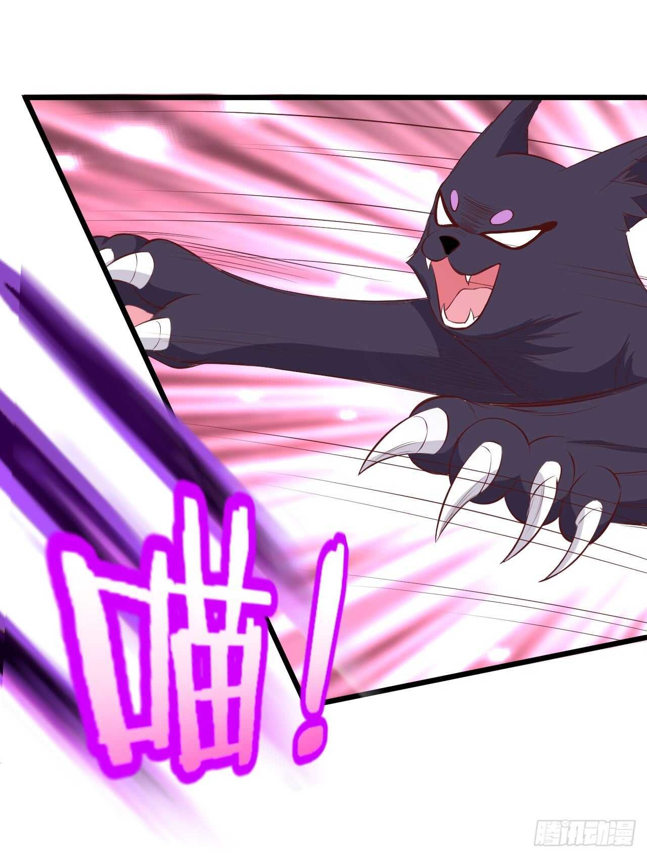 吸取精气！小猫咪变身！