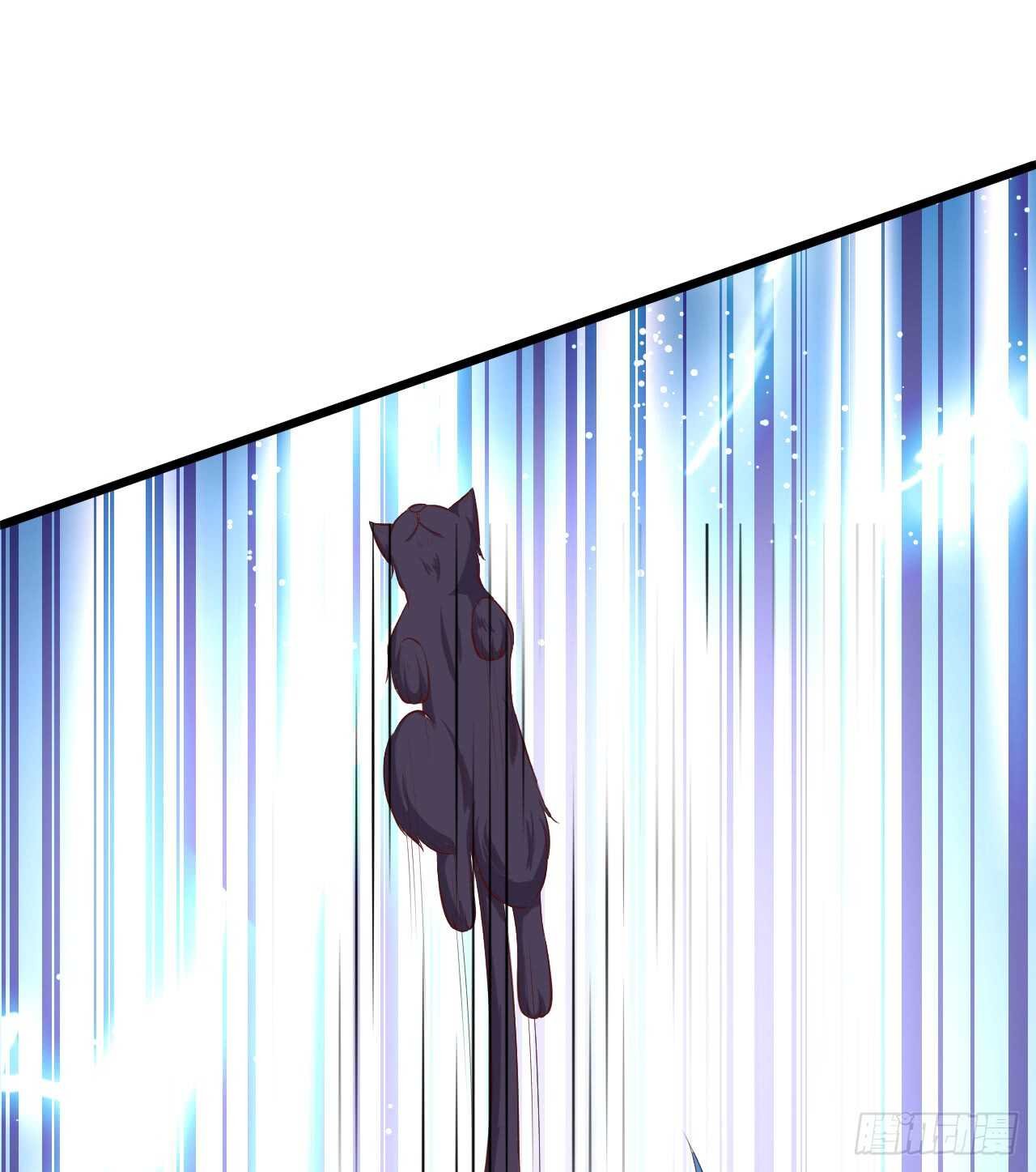 吸取精气！小猫咪变身！
