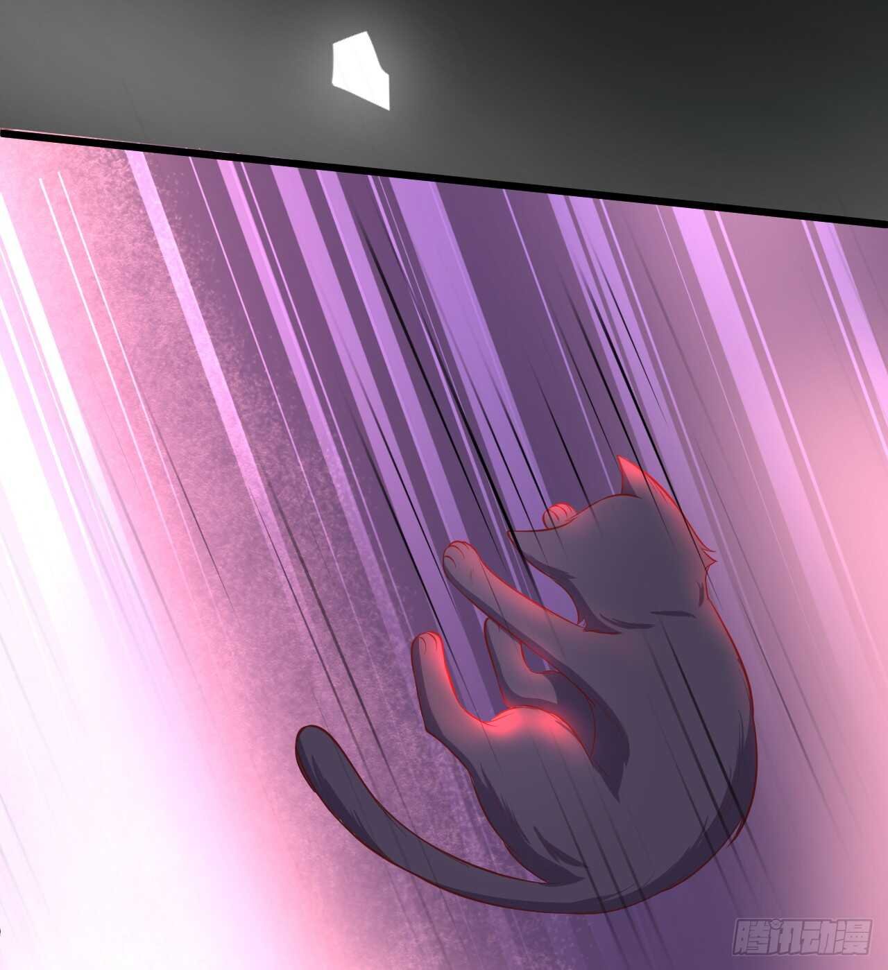 吸取精气！小猫咪变身！
