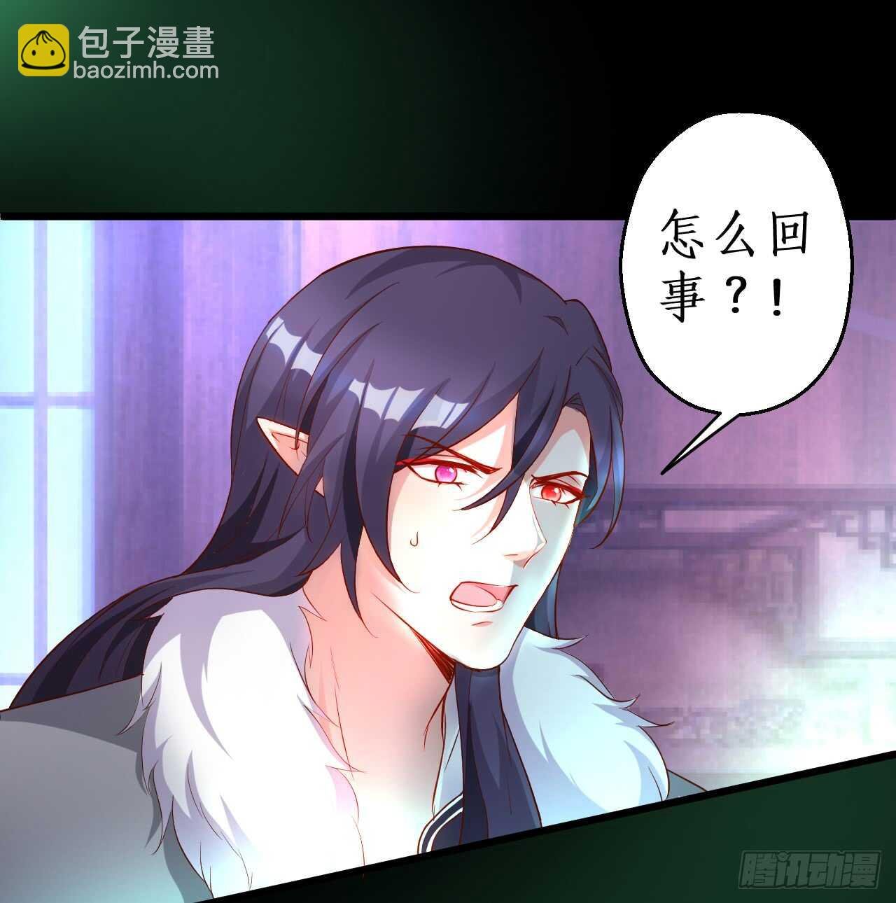 吸取精气！小猫咪变身！