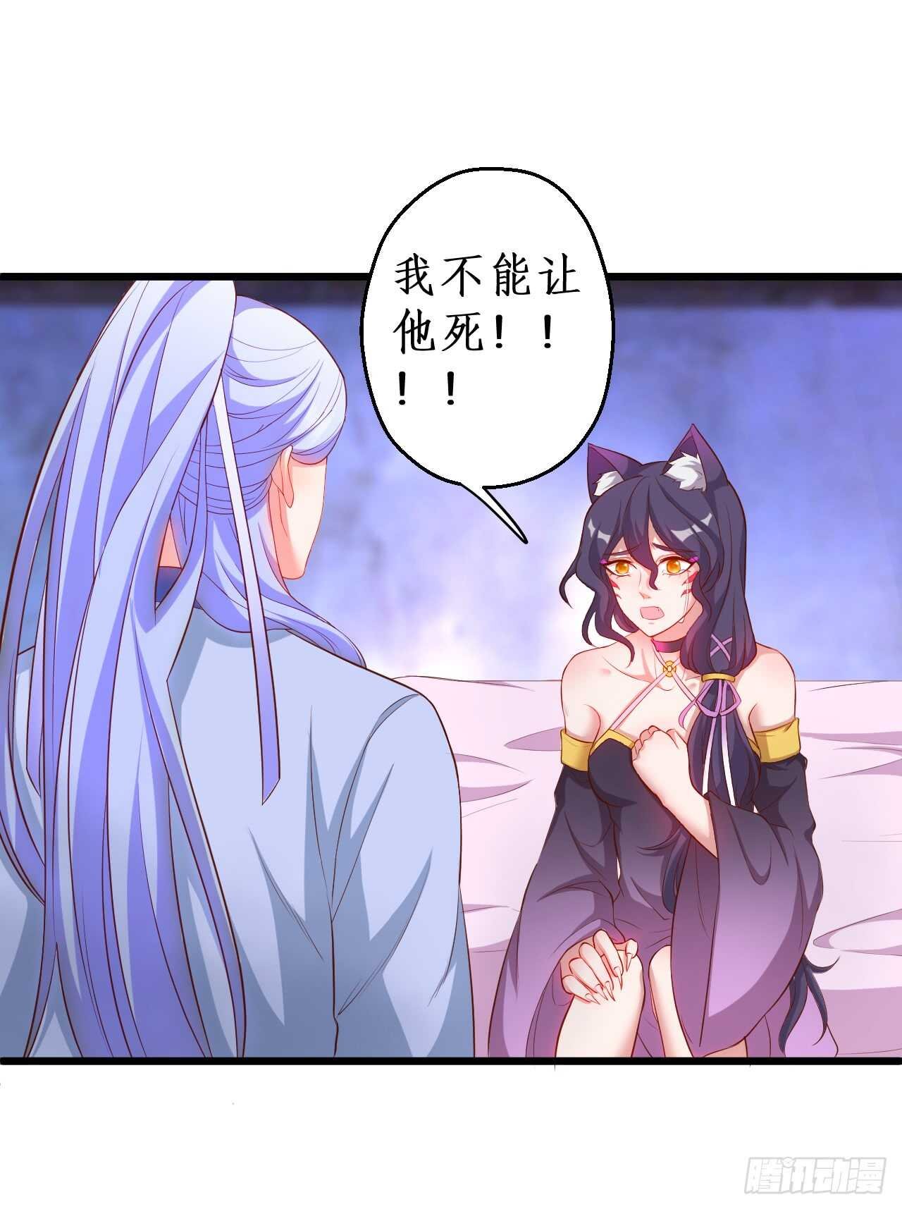 猫妖你清醒一点！