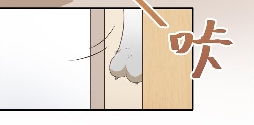 013萌芽
