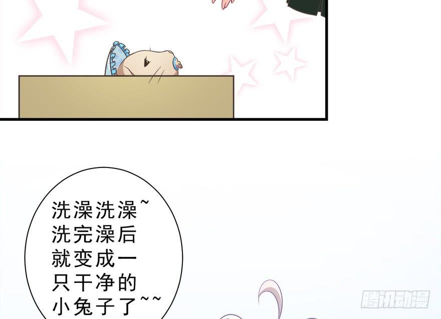 016不要给兔子洗澡