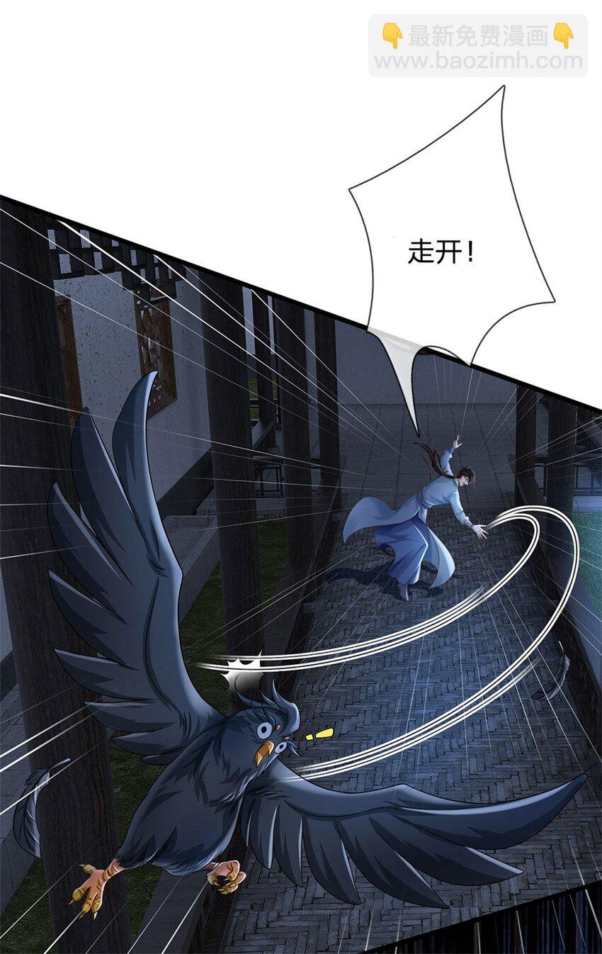 第23话 奇怪的鸟
