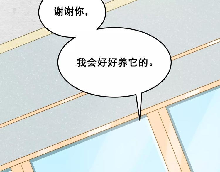 第26话 你的温柔