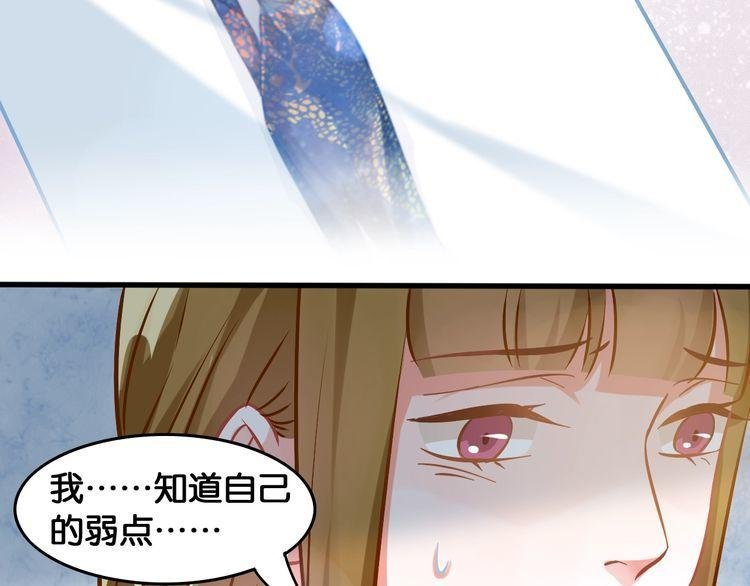 第71话 新的机会