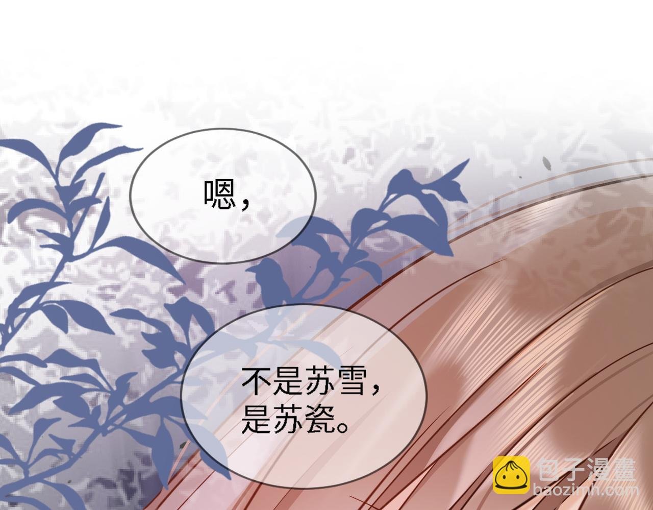 第24话 苏瓷才是傅太太！