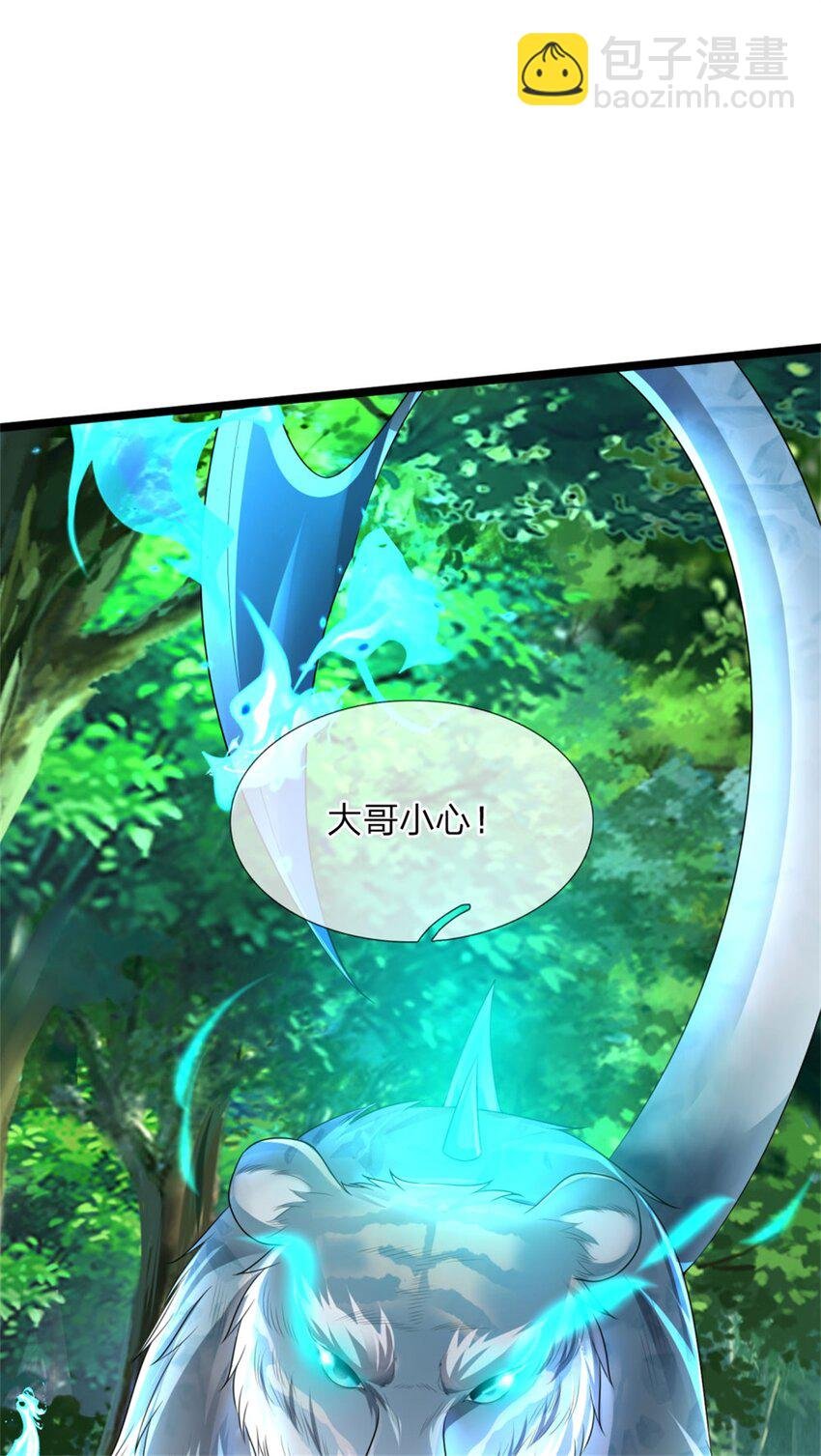 第6话 愿赌服输，铁尾妖虎