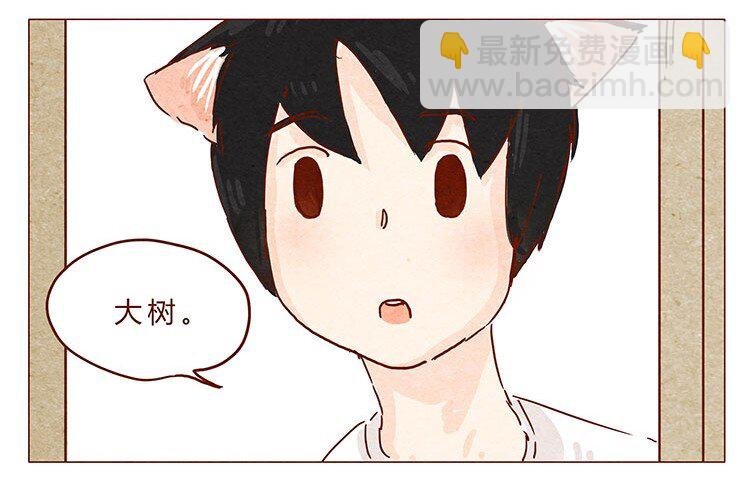 16-17 大树，别怕