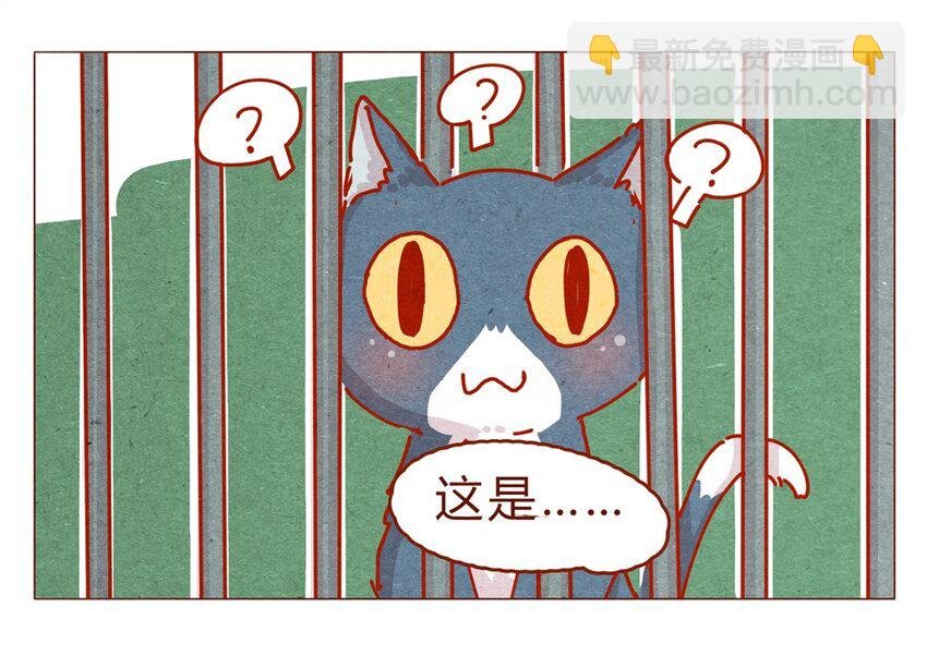 170话 论好哥哥的养成