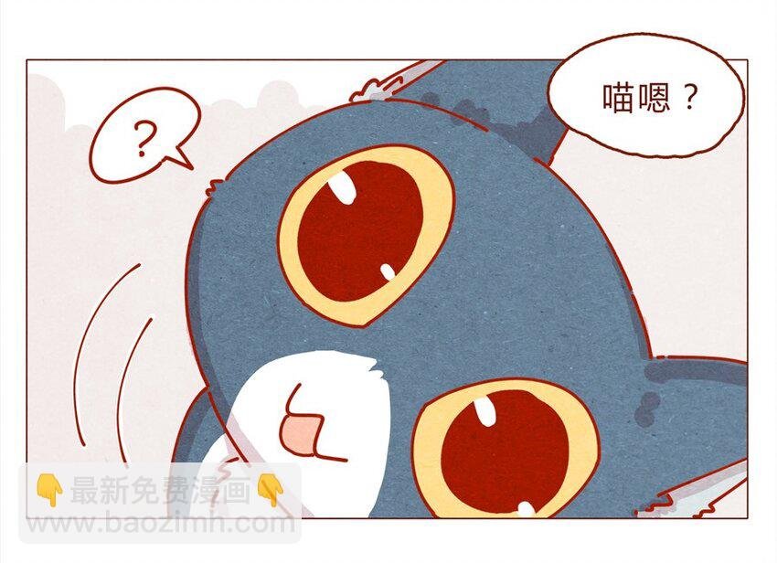 171话 别人家的喵！