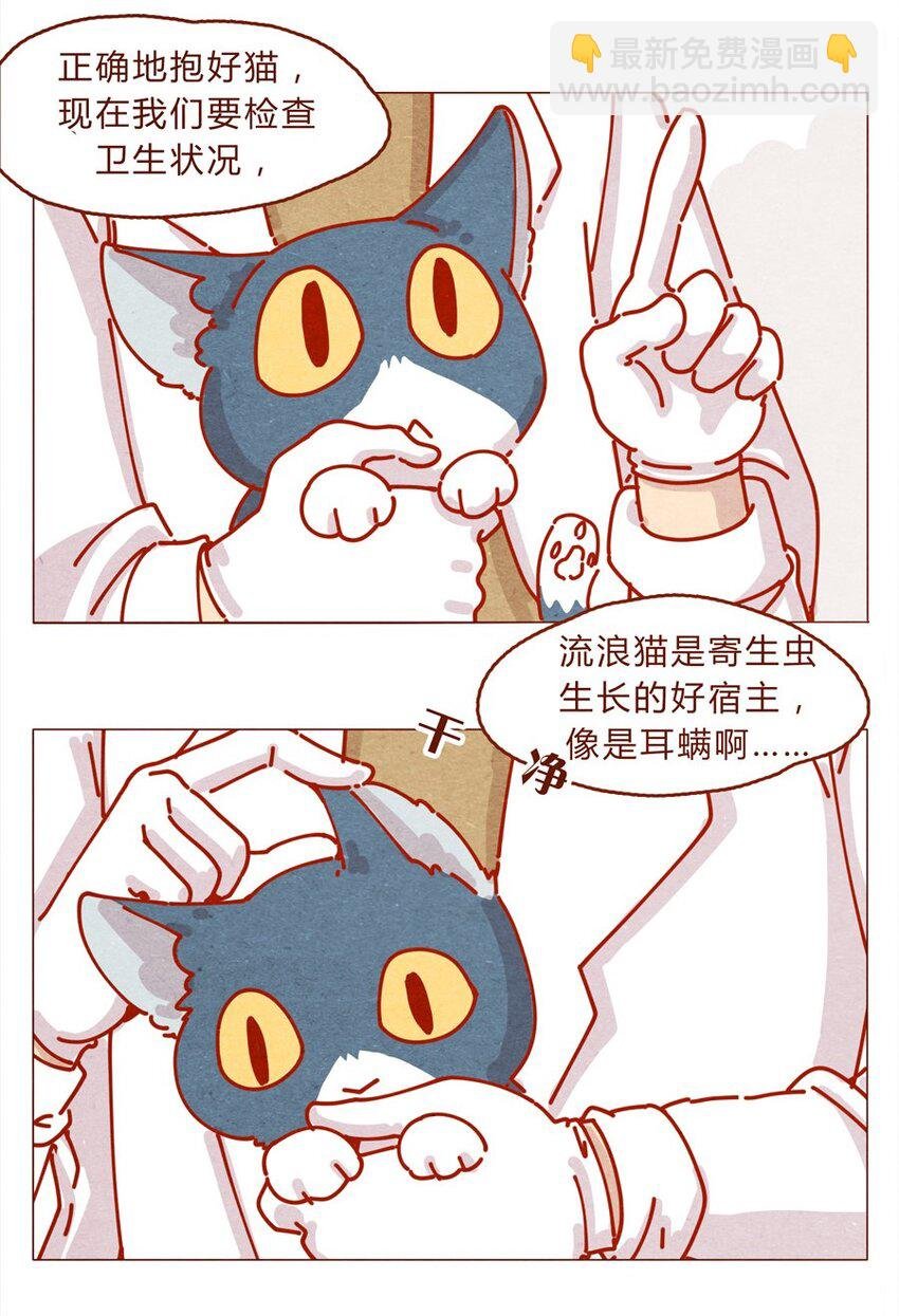 171话 别人家的喵！