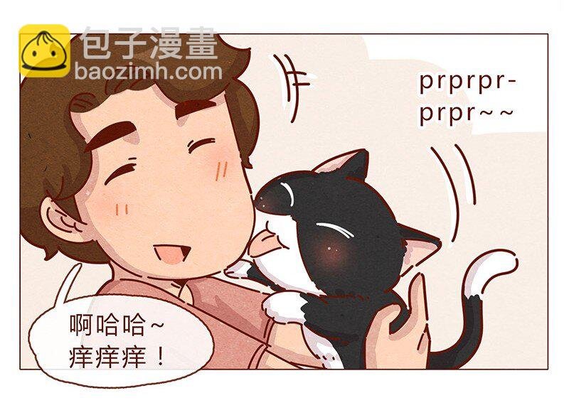 196话 你有别的猫！