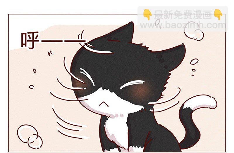 198话 吸猫不如吸淼