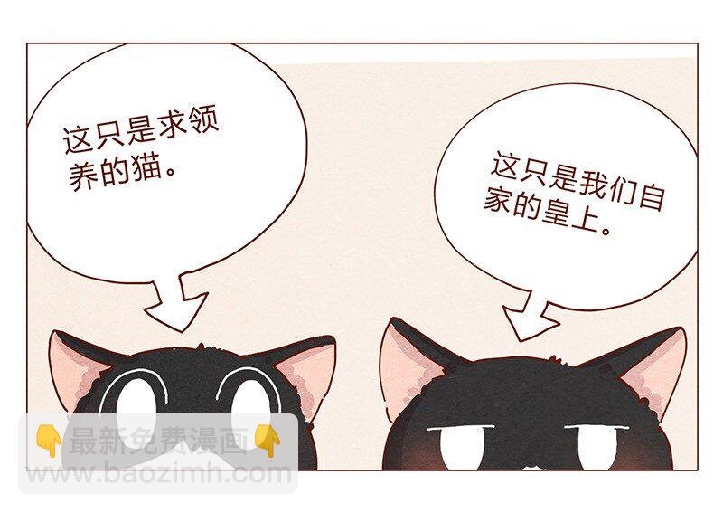 201话 领养比买难！