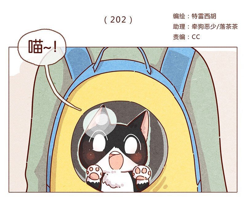 202话 领养日好玩吗？