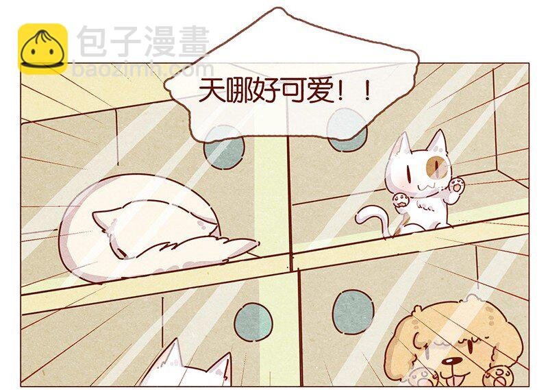 202话 领养日好玩吗？