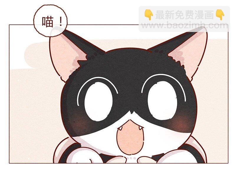 203话 遇到命中注定的猫猫
