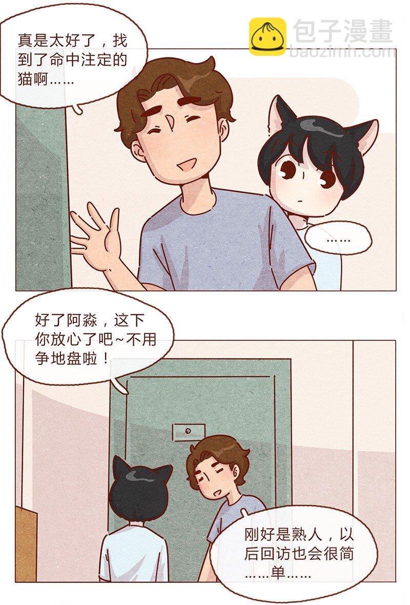 203话 遇到命中注定的猫猫