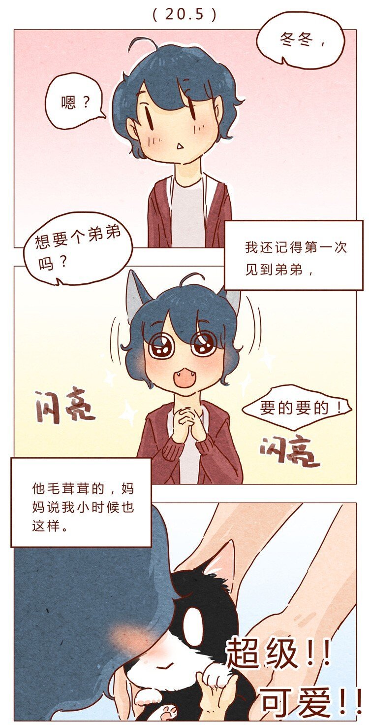 番外 我弟弟超可爱的