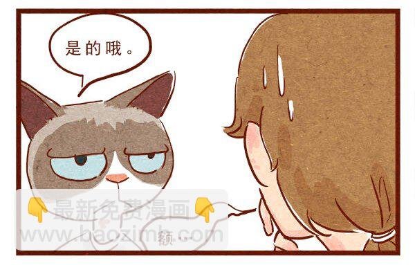 第3话 自由变换