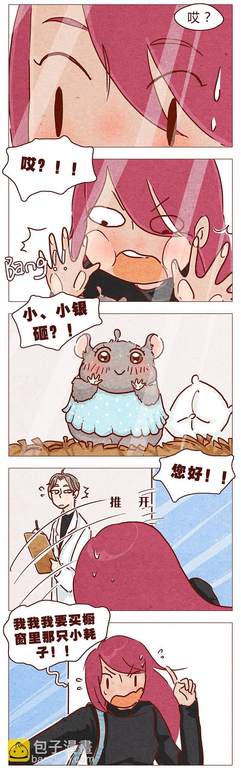 第86话 熟悉的小耗子