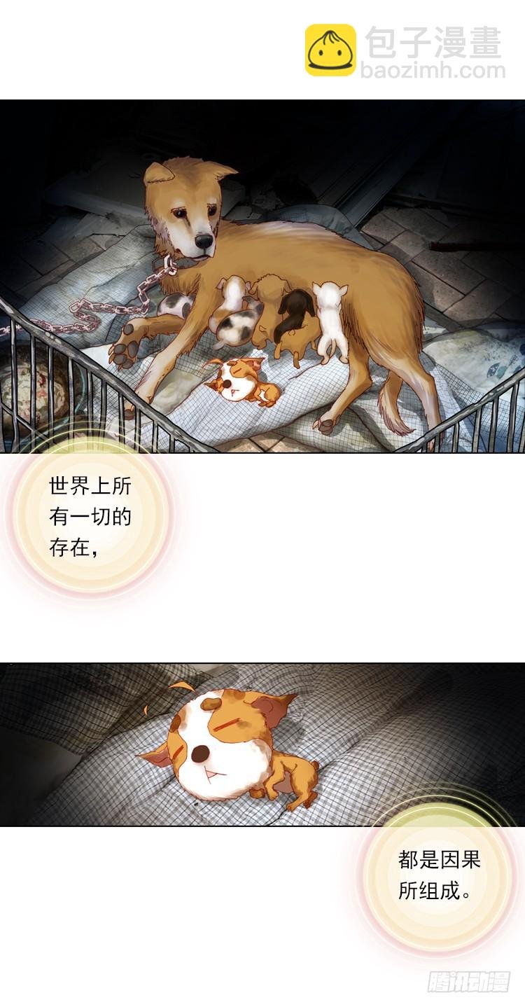 恶之种（上）