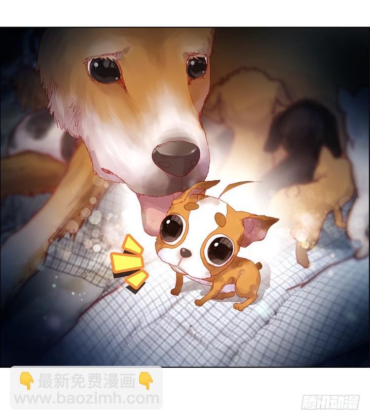 恶之种（上）