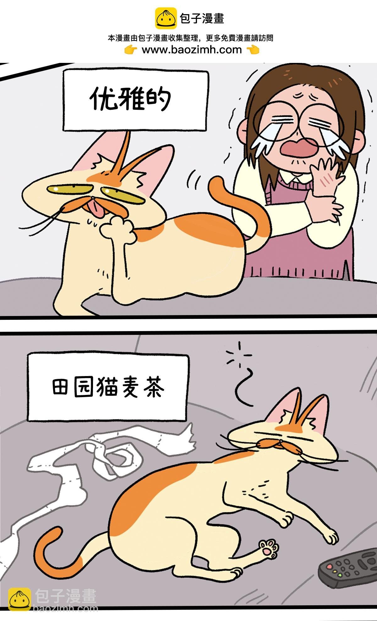 预告
