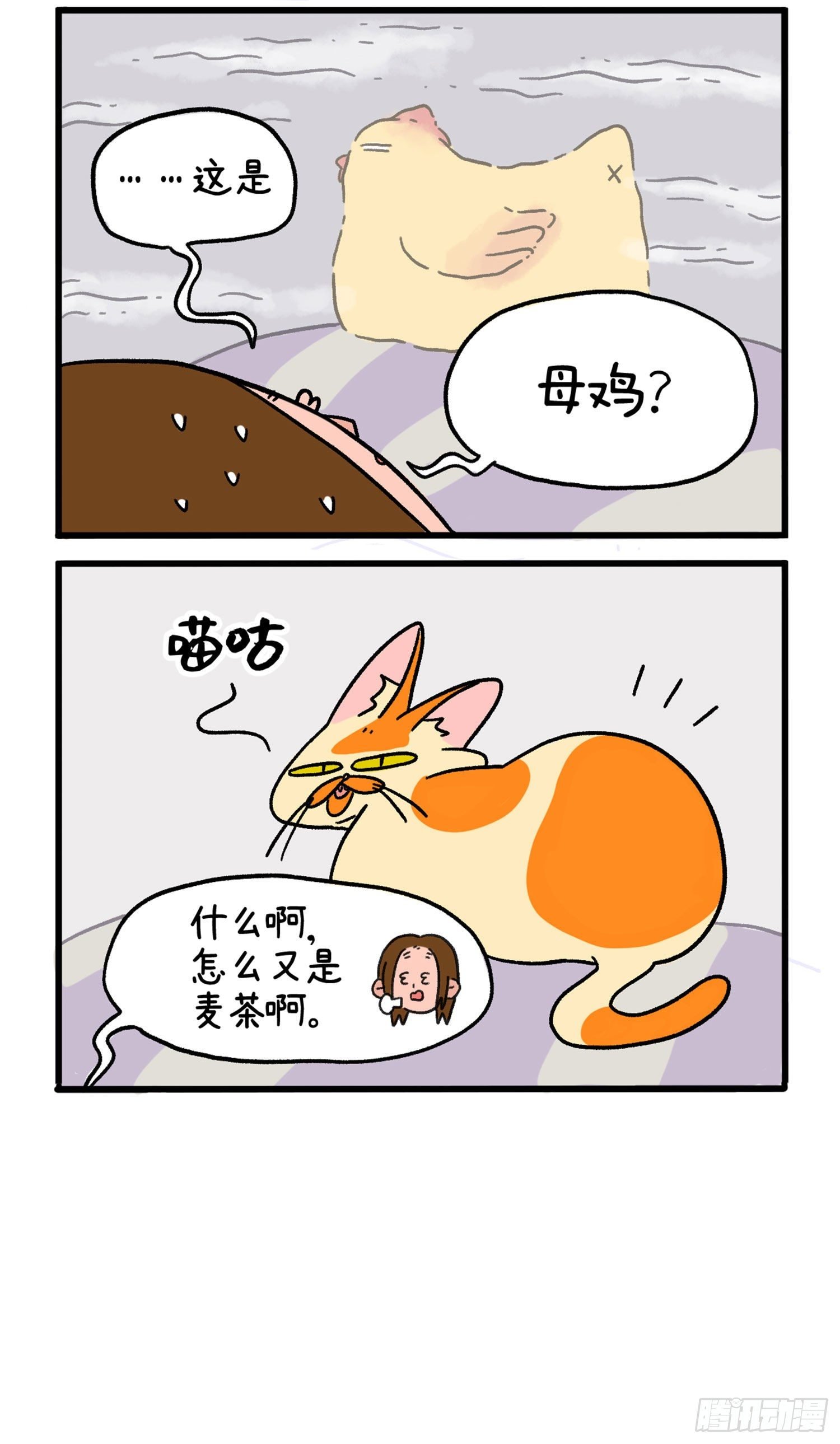 第9话 午夜的鸡