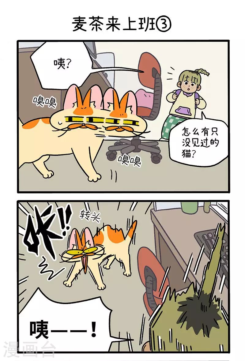 第63话1 麦茶来上班