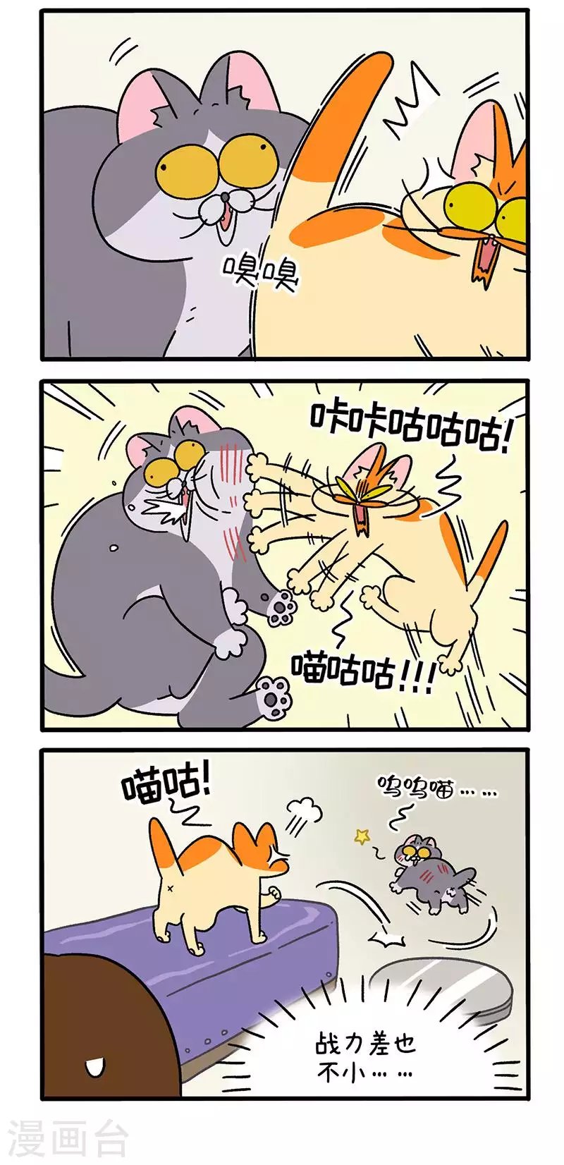 第65话2 公司的猫咪聚会