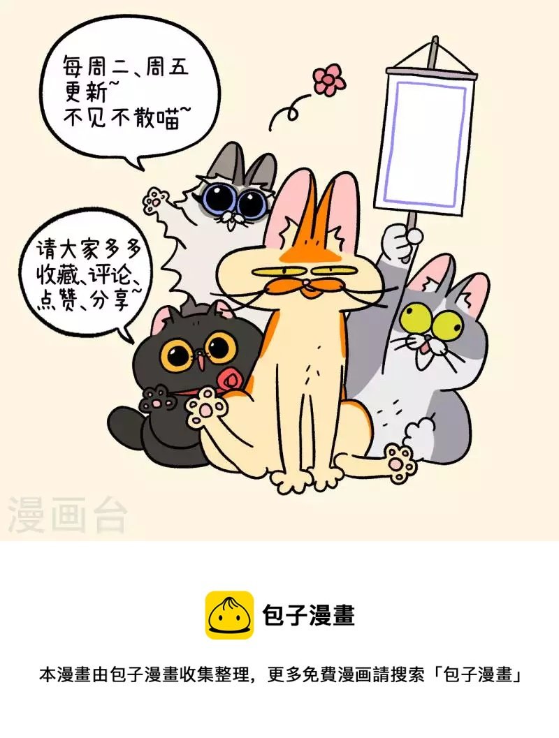 第65话2 公司的猫咪聚会