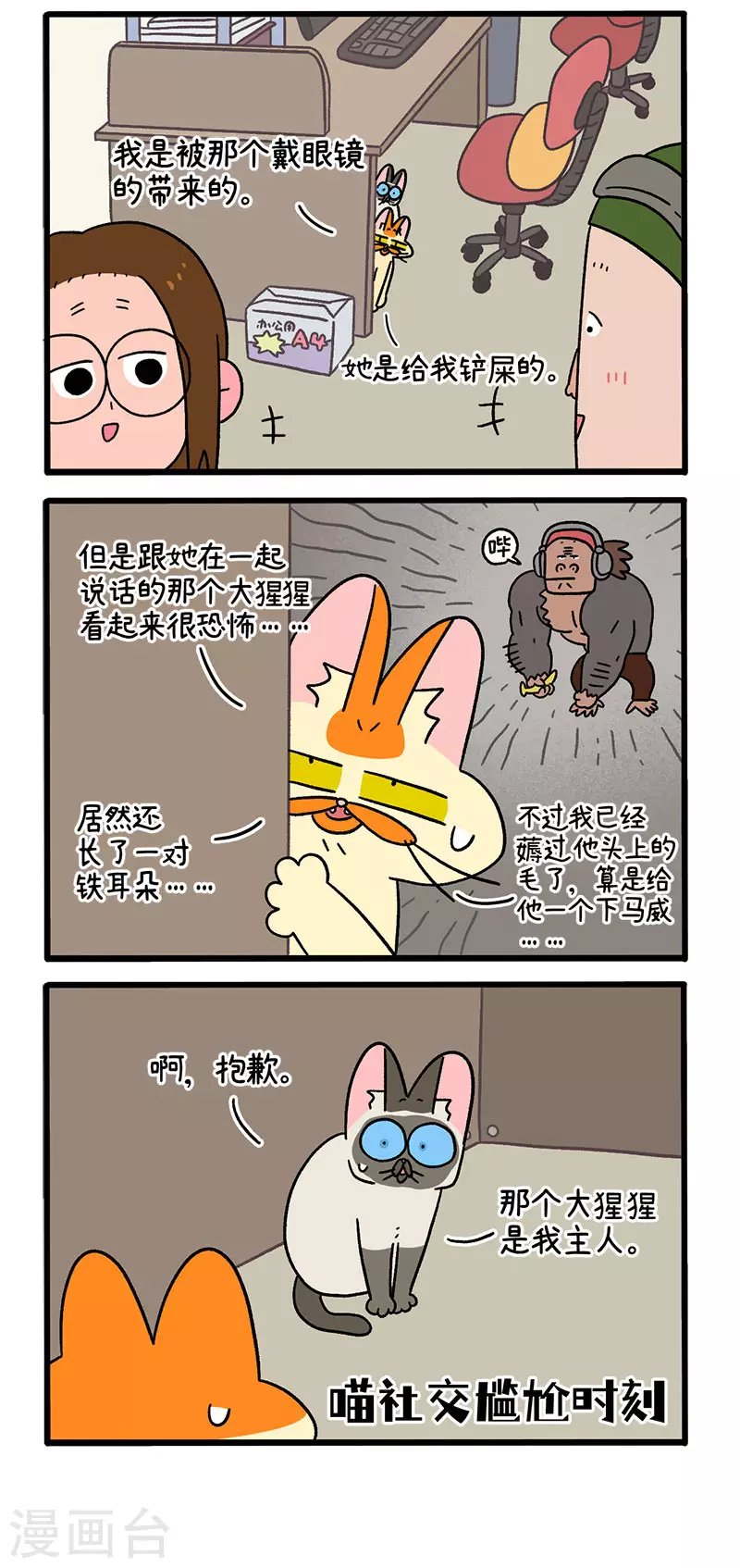 第66话2 公司的猫咪聚会2