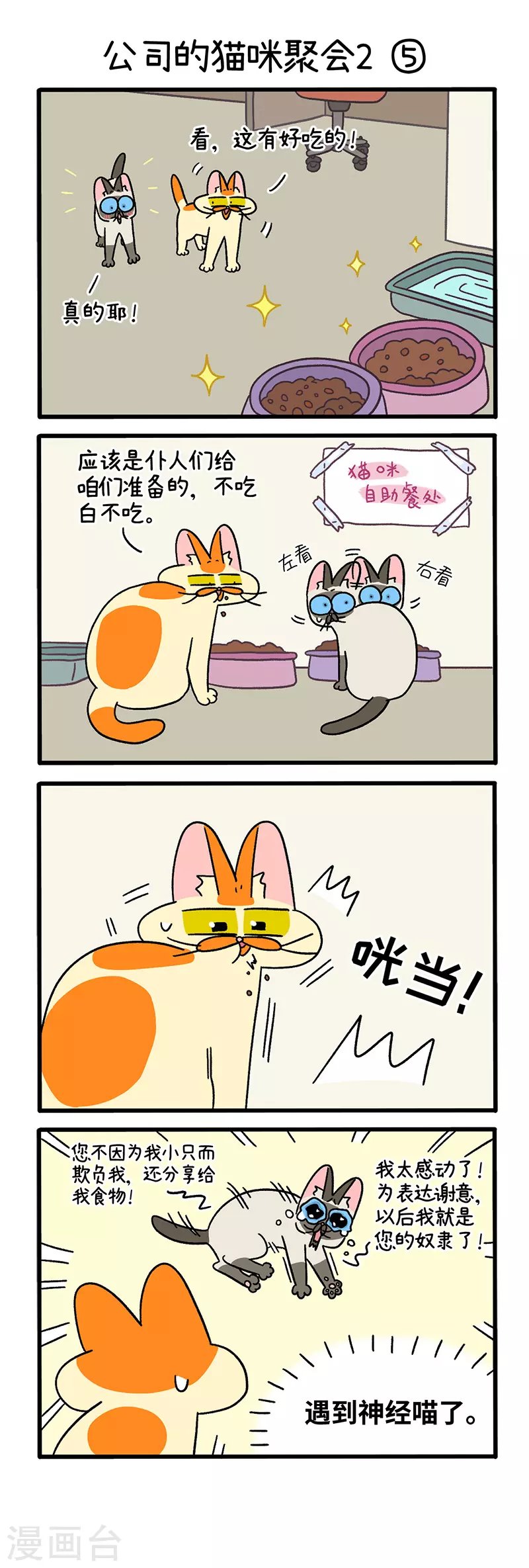 第66话2 公司的猫咪聚会2