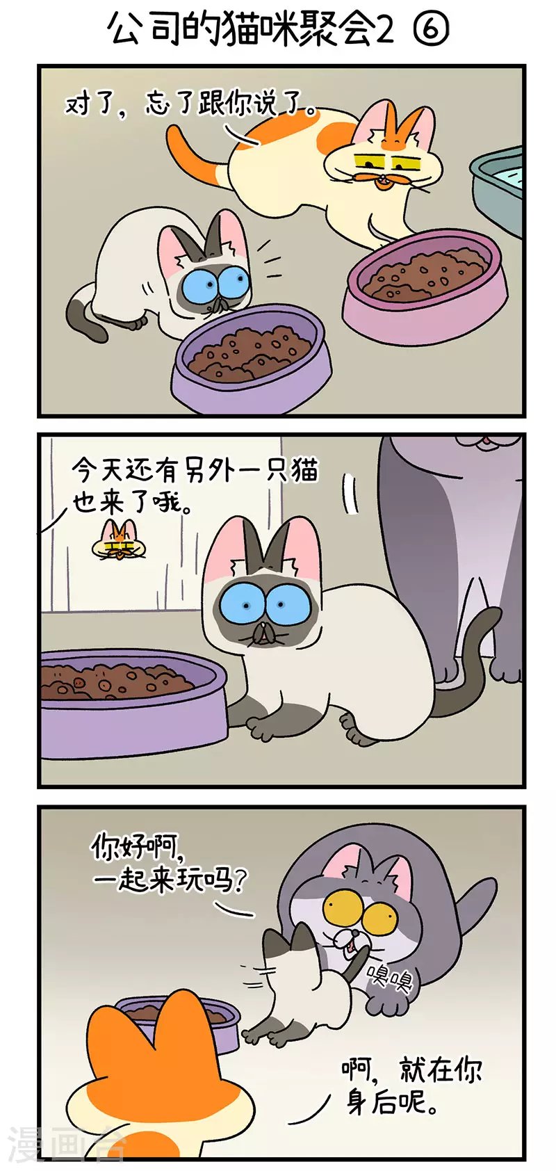 第66话2 公司的猫咪聚会2