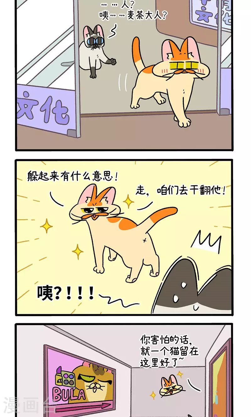 第68话2 走廊尽头的恐怖雄性