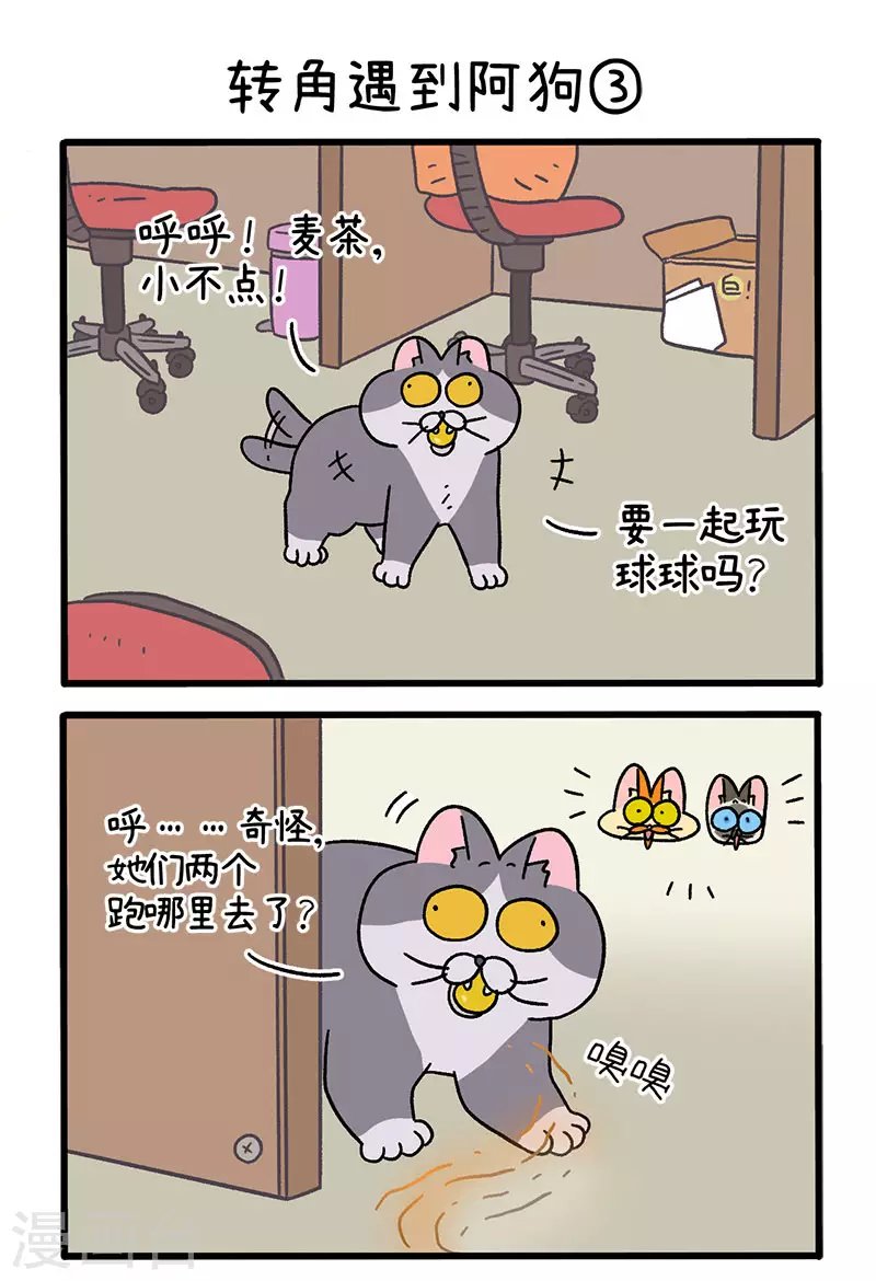 第71话1 转角遇到阿狗
