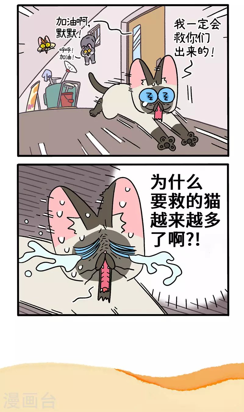第72话1 默默的营救行动